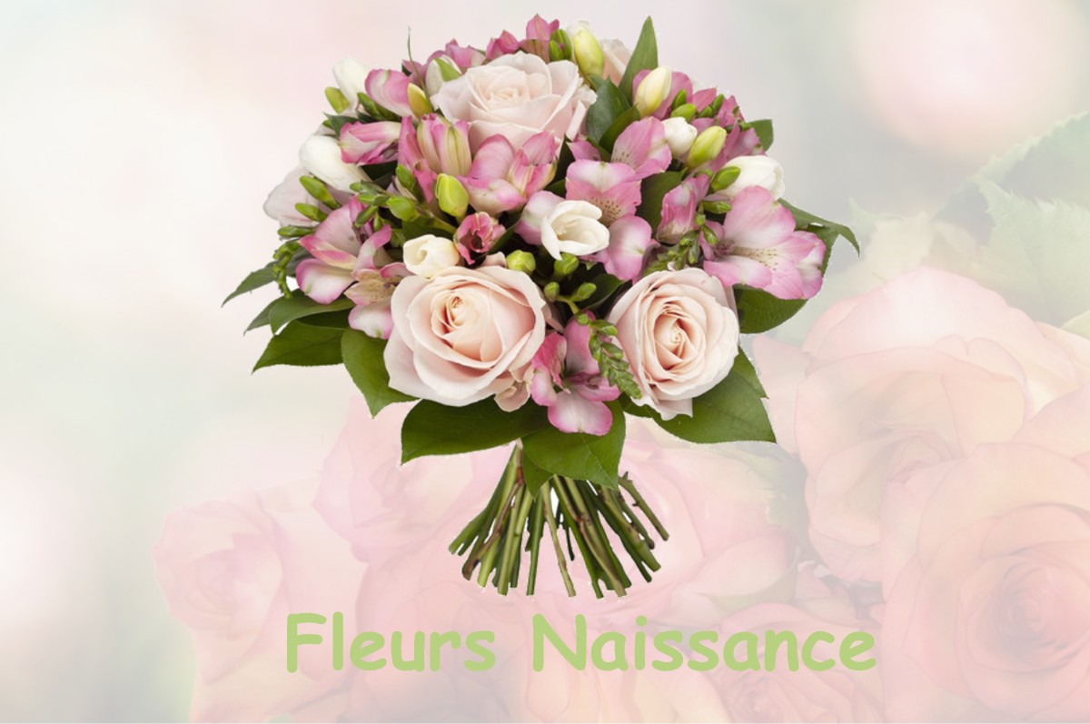 fleurs naissance SUIZY-LE-FRANC
